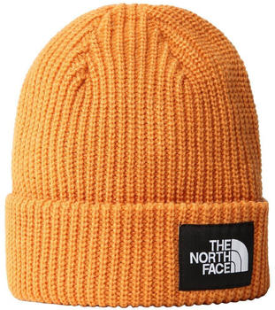 The North Face Salty Dog topaz