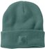 Carhartt Black Label Watch Hat (101070) slate green
