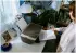 HP Deskjet 2910
