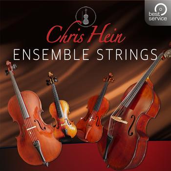 Best Service Chris Hein Ensemble Strings (Box)