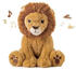 Louis the lion