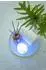 MEGALight Swimmy Duck LED-Badelicht RGBW, Akku, Silikon, IP66