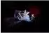 Osram Nightlux Touch Rabbit USB RGBW LED-Nachtlicht (4099854536656)