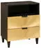 vidaXL Nachttisch und 50x33x60 cm massives Mangoholz (4017838) schwarz gold