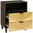 vidaXL Nachttisch und 50x33x60 cm massives Mangoholz (4017838) schwarz gold
