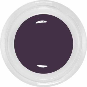 Alessandro Farbgel Purple Purpose (5 g)