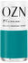 OZN Nail Polish (12ml)