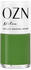 OZN Nail Polish (12ml)