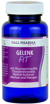Hecht Pharma Gelenk-Fit GPH Kapseln (360 Stk.)