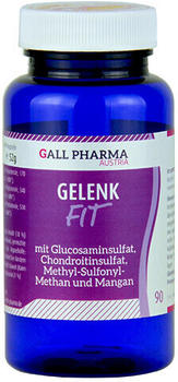 Hecht Pharma Gelenk-Fit GPH Kapseln (60 Stk.)
