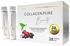 Mediakos GmbH Collagen Pure 10g Gold Trinkampullen