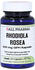 Hecht Pharma Rhodiola Rosea 200mg GPH Kapseln (30 Stk.)