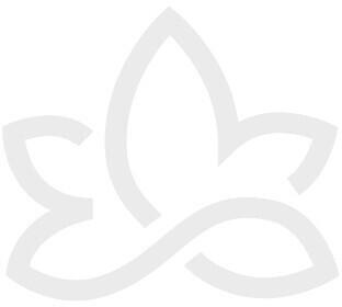 Reinhildis Apotheke Weihrauch Extrakt + Curcuma Kapseln (90 Stk.)