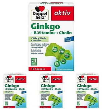 Doppelherz aktiv Ginkgo + B-Vitamine + Cholin Kapseln (4x40 Stk.)
