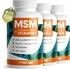 Profuel MSM + natürliches Vitamin C Tabletten
