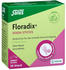 Salus Floradix Eisen Sticks Pulver (20 Stk.)