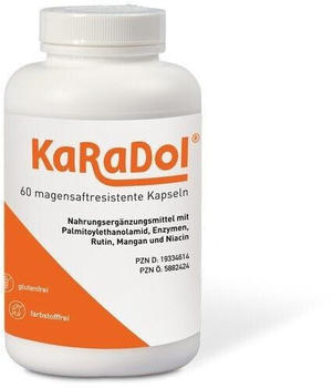 Volopharm Karadol magensaftresistente Kapseln (60 Stk.)