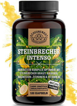 Scheunengut Steinbrecher Intenso Kapseln (120 Stk.)