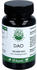 Heilpflanzenwohl DAO 100mg vegan Kapseln (90 Stk.)