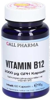 Hecht Pharma Vitamin B12 2000 &micro;g GPH Kapseln (60 Stk.)