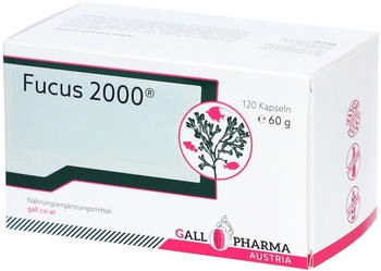 Hecht Pharma Fucus 2000 Kapseln 120 St