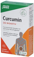 Salus Curcumin 202 Bioaktiv Kapseln 60 St