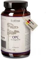 OPC Pycnogenol&reg; - 60 Kapseln 60 St