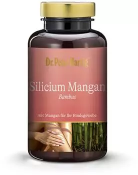 Dr. Peter Hartig Silicium Mangan Bambus 120 Kapseln