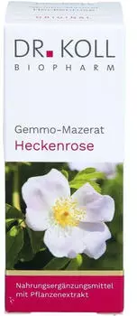 Dr. Koll Biopharm Dr. Koll Gemmo-Mazerat Heckenrose Tropfen 50 ml