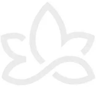 Hecht Pharma GmbH Mariendistel Tropfen 50 ml