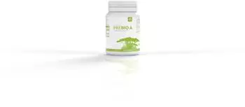 HLH Bio Pharma Casa Sana Bio Akazienfaser Pulver 110g