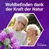 Avitale Activplus Mariendistel + Artischocke + Löwenzahn Kapseln 120 Stk.