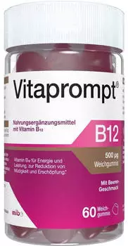 Mibe Vitaprompt B12 500 µg Weichgummis