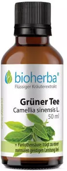 Bioherba Gr&uuml;ner Tee Camellia sinensis L. Tropfen 50 ml