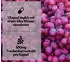 EXVital ® OPC Traubenkernextrakt Kapseln 142 g Damen