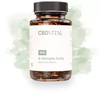 CBD Vital CBD Vital CBD Kapseln B-Komplex forte 60 Stk. 1 Set