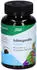 Salus Ashwagandha Gums 50 Stk.