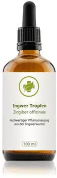 vitalundfitmit100 Ingwer Tropfen 100 ml