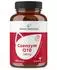 R(h)ein Nutrition COENZYM Q10 + vegan St