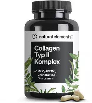natural elements Collagen Typ II Komplex Kapseln 90 Stk.