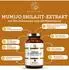 Qidosha Mumijo Shilajit Extrakt Kapseln 180 Stk.
