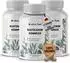 xtra fuel Blutzucker Komplex* mit Ceylon-Zimt Inositol & Olivenblatt Kapsel 357.3 g 357.3 g