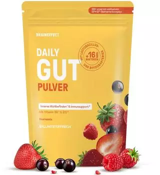 BrainEffect Daily Gut Pulver Beerenmix 240g