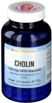Hecht Pharma Cholin 100 mg GPH Kapseln (120 Stk.)