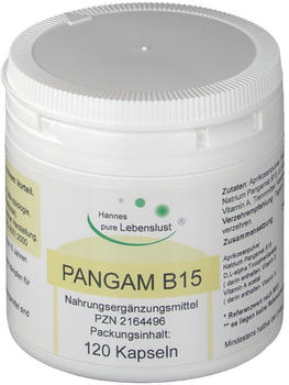 G&M Naturwaren Pangam Vitamin B15 Kapseln (120 Stk.)