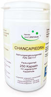 Chanca Piedra Vegi Kapseln 250 St