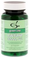 PZN-DE 01466315, 11 A Nutritheke Lactase 12000 Fcc Kapseln