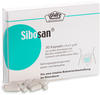 PZN-DE 11268728, Laves-Arzneimittel Sibosan Kapseln 15.57 g, Grundpreis: &euro;