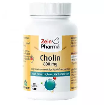 ZeinPharma Cholin 600mg Kapseln (60 Stk.)