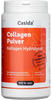 PZN-DE 15266086, Casida Collagen Pulver Kollagen Hydrolysat Peptide Rind 480 g,